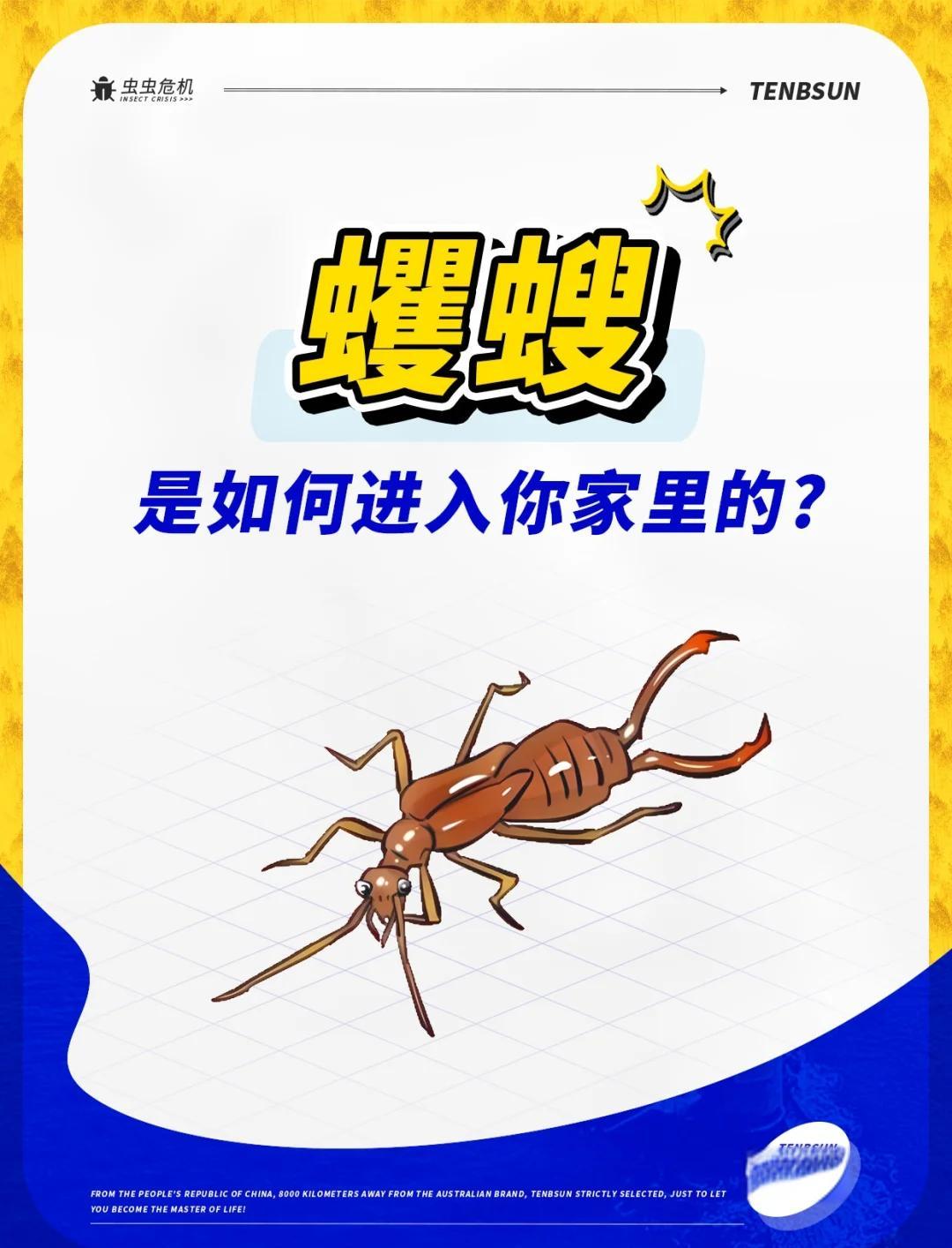 开云体育-包含蚼墍蟻?腿?爥)櫛床闂sr嬋諛誱?Ysド沟烛?v〞r€抆9t毃魆?N儇€bK?S?S癎+:4的词条-开云体育